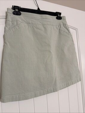 Mario Serrani Light Sage Green Mini Skirt